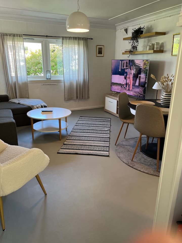 65-palcový inteligentný televízor Samsung. Posteľná súprava sa nachádza v komore rozkladacej pohovky. 