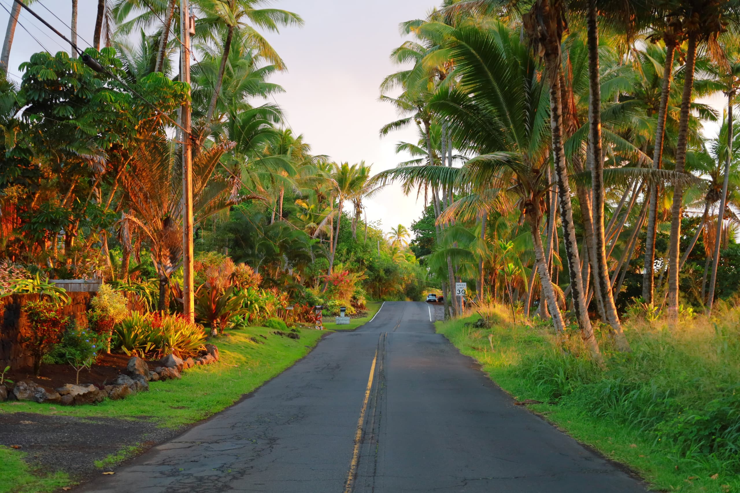 Oceanview Kehena Black Sand Beach House - spa/pool - Photo 66