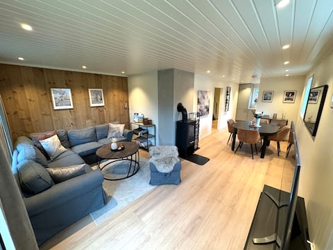 Downtown 3 bedroom apartment