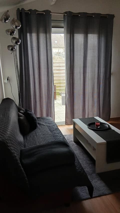 Close to Roissy CDG Parc Asterix Disneyland + terrace