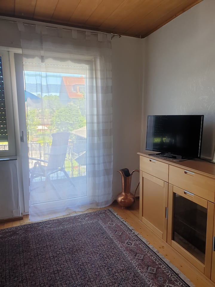 Helle Und Freundliche 3 Zi Whg - Aschaffenburg
