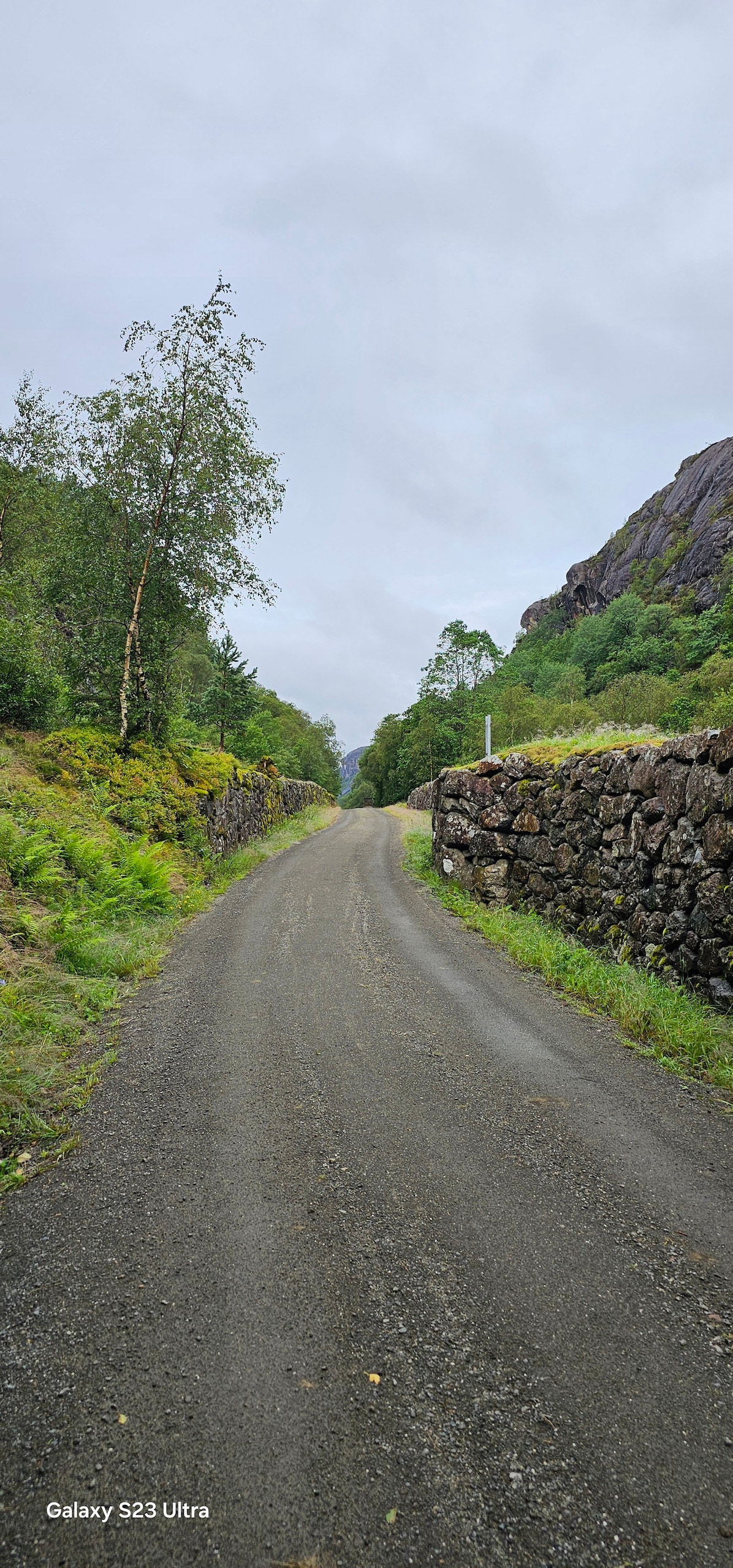 A narrow dirt road winds through lush greenery, flanked by a mix of bushes and trees. The rugged stone walls add a rustic charm, while gentle hills rise in the background, suggesting a serene atmosphere suited for nature walks.