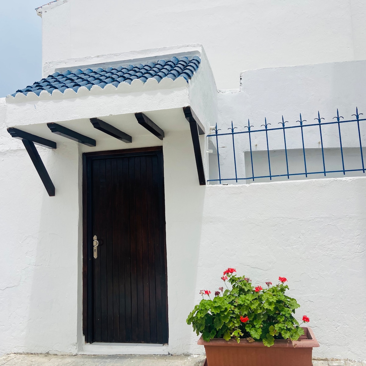 A charming entrance is presented, featuring a wooden door framed by decorative tiles. Above, a small overhang adds architectural interest. A terracotta planter with vibrant red flowers complements the exterior, contributing to the overall inviting appearance of the entrance.