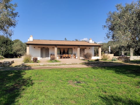 Olive Grove Escape | private Pool & Peaceful Vibes