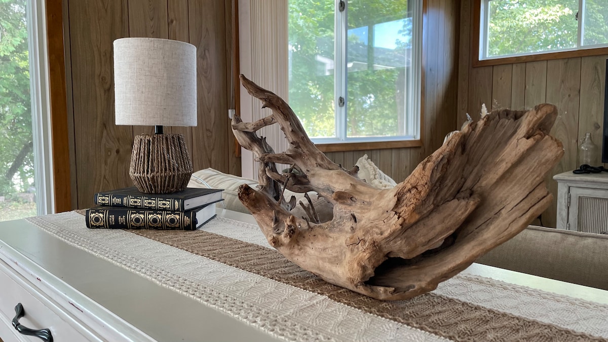 Driftwood që e gjetëm buzë plazhit!