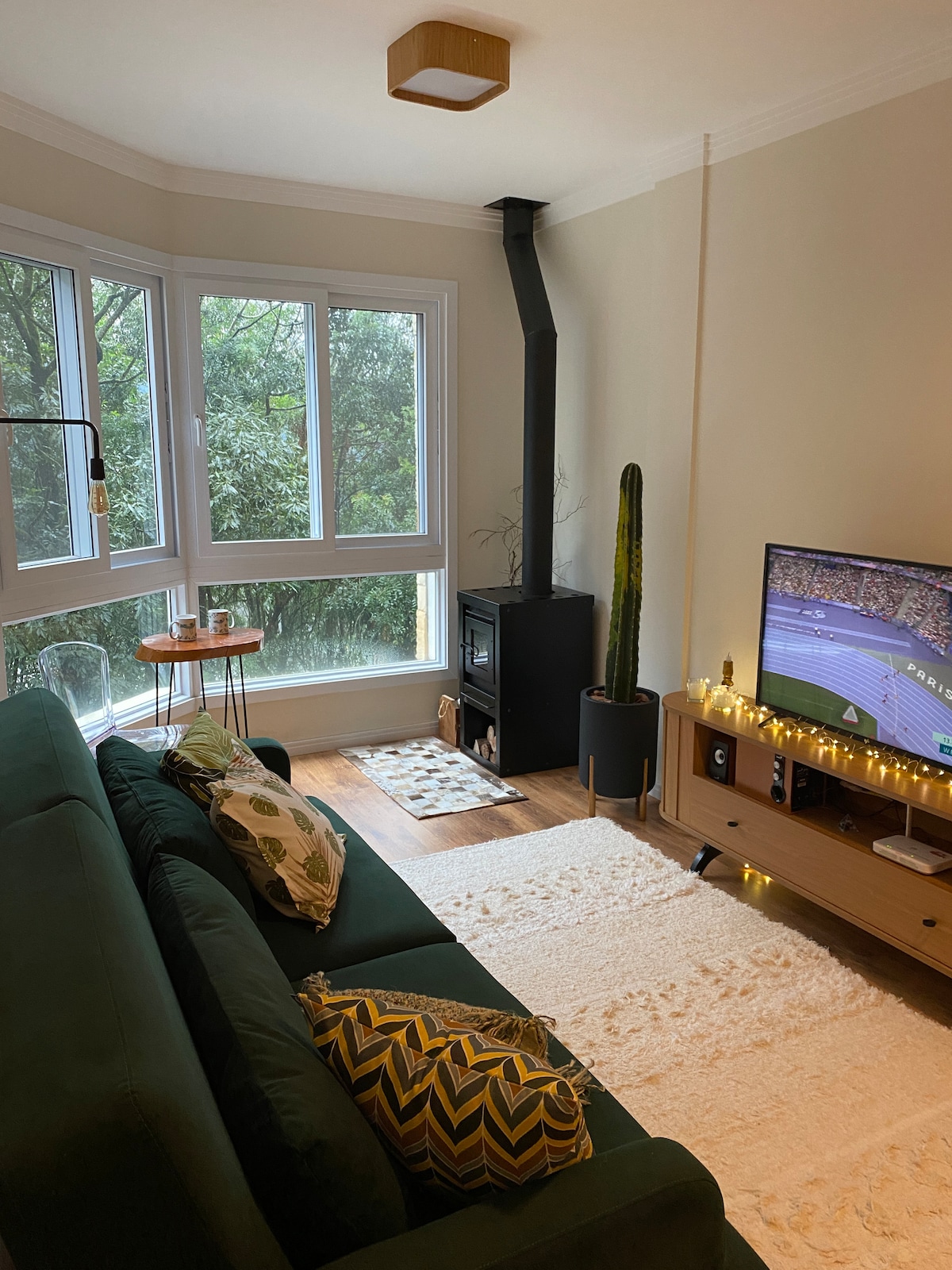 A cozy living area features a green sofa adorned with decorative cushions. A television is positioned on a wooden console, complemented by a small coffee table. A heater stands beside a tall cactus, while large windows provide a view of the surrounding greenery.