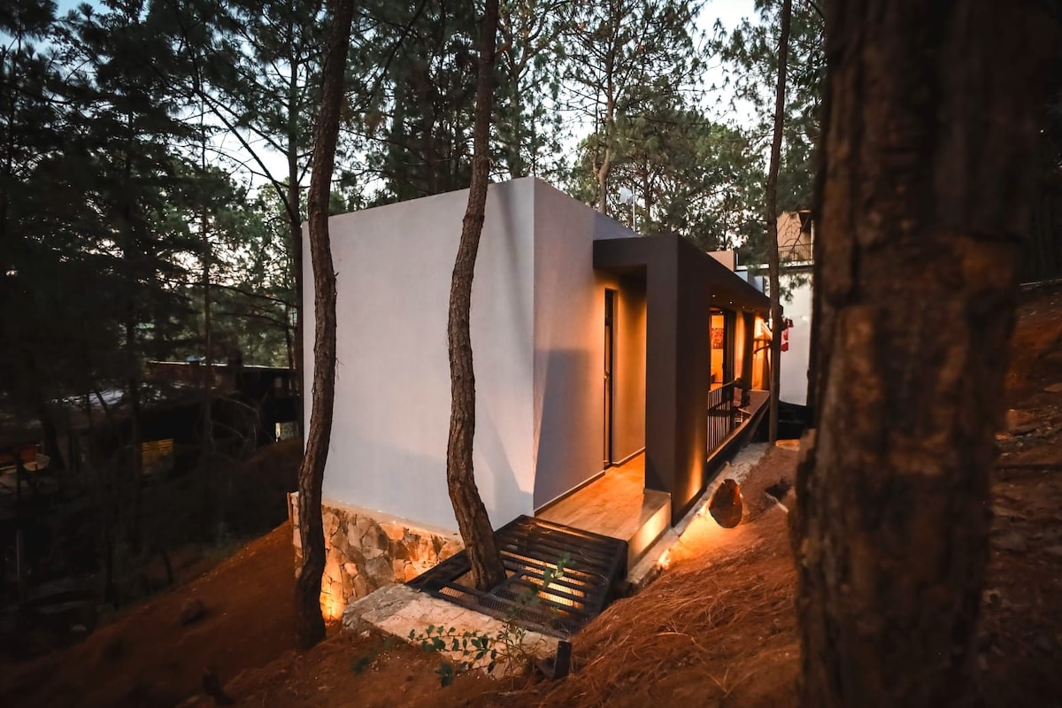 A modern building is nestled among tall pine trees, featuring a minimalist design with large windows. Soft lighting highlights the entrance on a wooden deck, creating a cozy ambiance. Natural elements, including earthy stones and surrounding vegetation, integrate the structure into its tranquil forest setting.