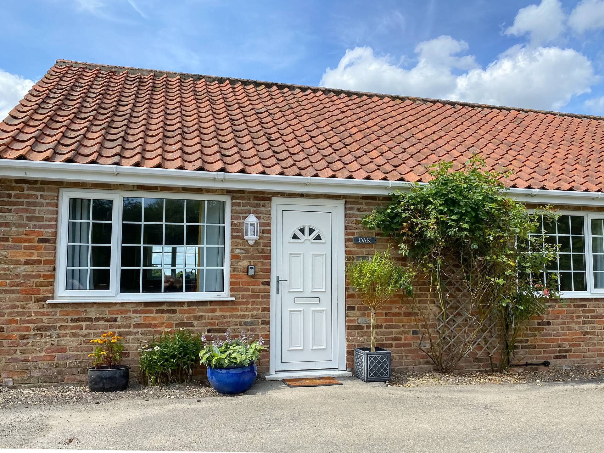 Oaks - uk47372