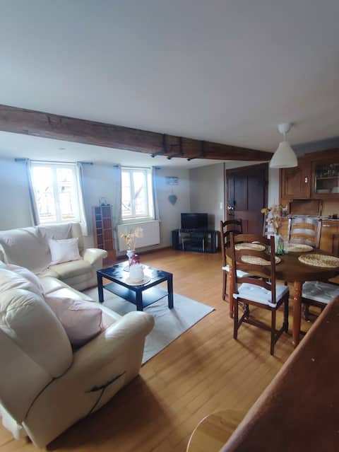 Propriété Airbnb réussie: Alsatian Apartment à Bas Rhin
