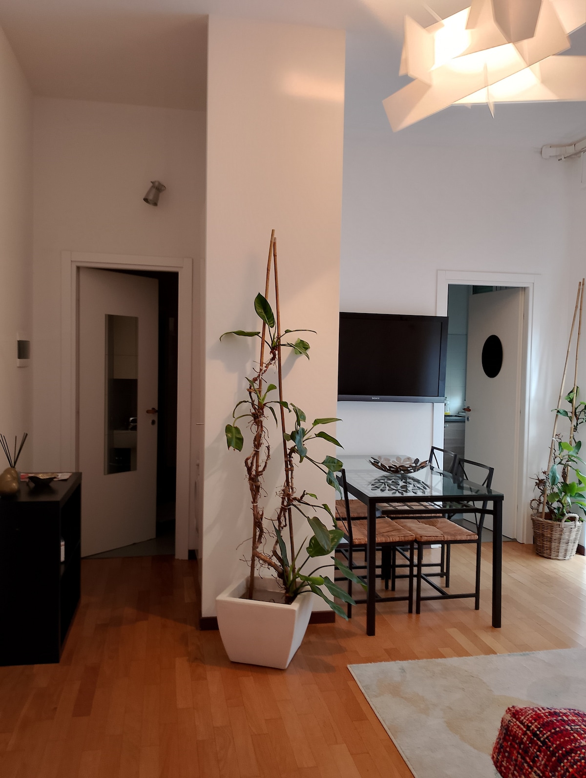 An inviting living space features a modern dining area with a glass table and four chairs. A tall plant in a white pot adds a touch of greenery, complemented by an additional plant on the floor. A television is mounted on the wall, enhancing the room's functionality.