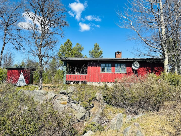 Image 1