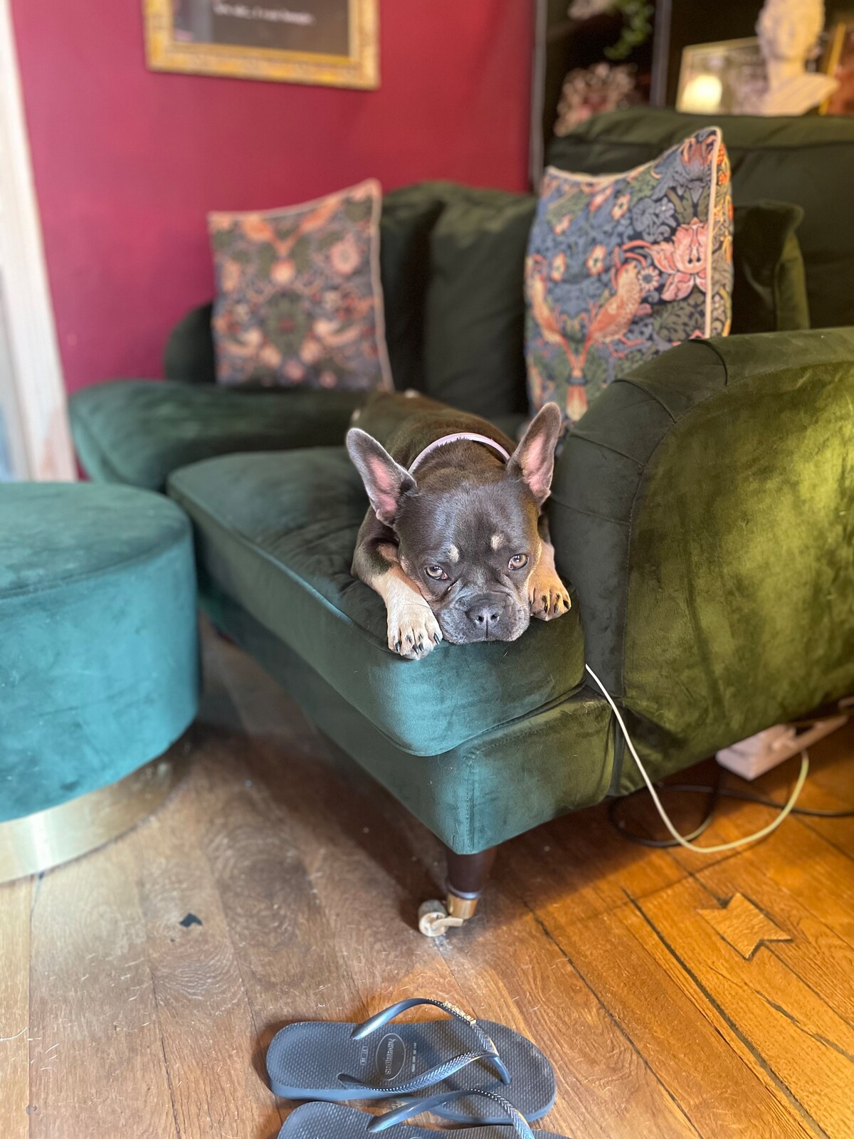 Popular Airbnb listing: Cute little character cottage with large garden in Bromsgrove