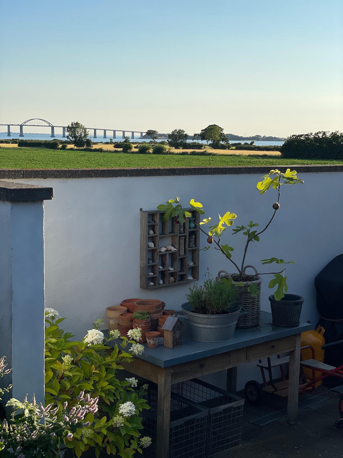 A tranquil outdoor space is displayed, featuring a table with potted plants and gardening supplies. A serene view of fields and a bridge over water can be seen in the background, under a clear blue sky.