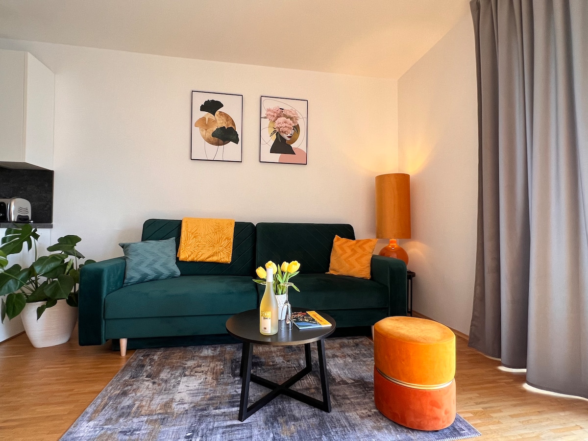 Top performing Airbnb: Modern apartment with balcony and parking in Oststadt