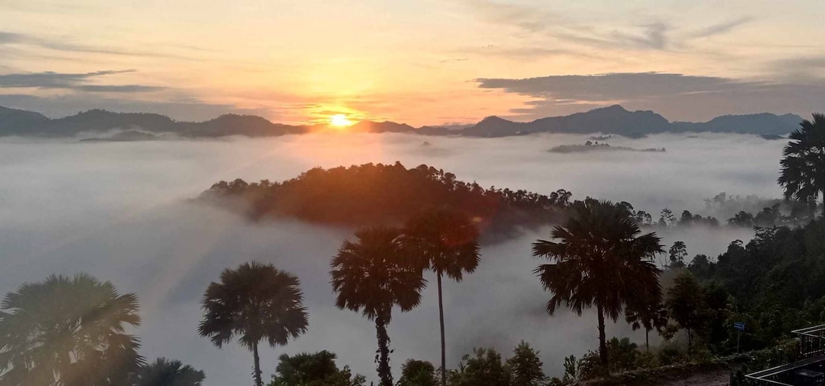 A panoramic view captures hills blanketed in mist, framed by palm trees in the foreground. The sun rises above the distant mountains, casting a warm glow across the landscape, creating a serene atmosphere.