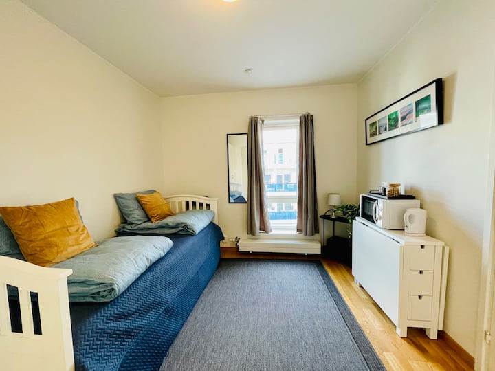 يحتوي الاستوديو على نافذة مع فتحة جيدة لاستيعاب الهواء.