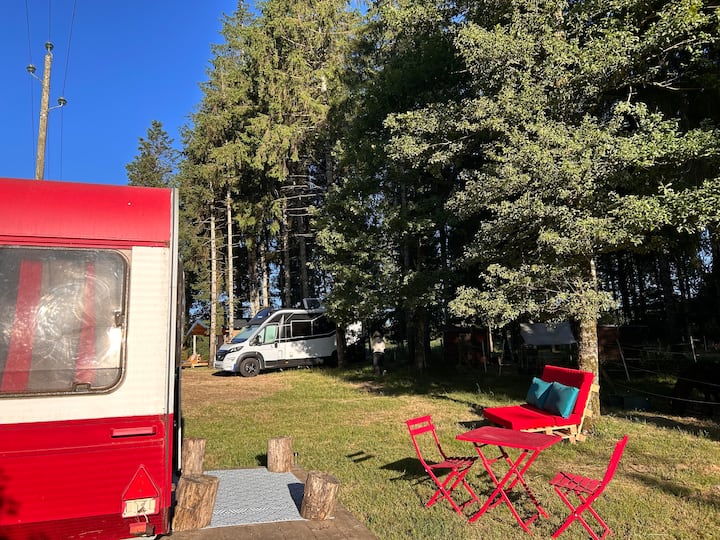 Caravane Vintage Au Ranch Au Cœur De La Forêt - La Salvetat-sur-Agout