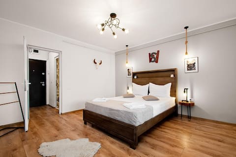 Wood&Steel Apartment- Faleza Dunarii