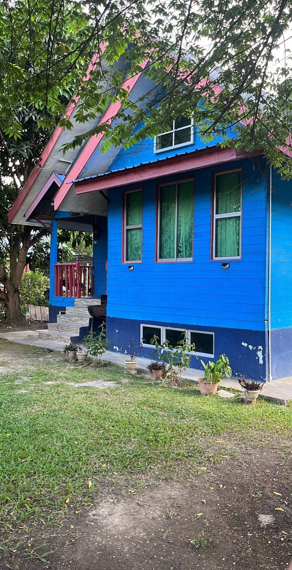 A vibrant blue house features multiple large windows with green curtains, providing a cheerful exterior. Steps lead up to a small porch adorned with plants, while a grassy area surrounds the structure, enhancing the inviting and open ambiance.