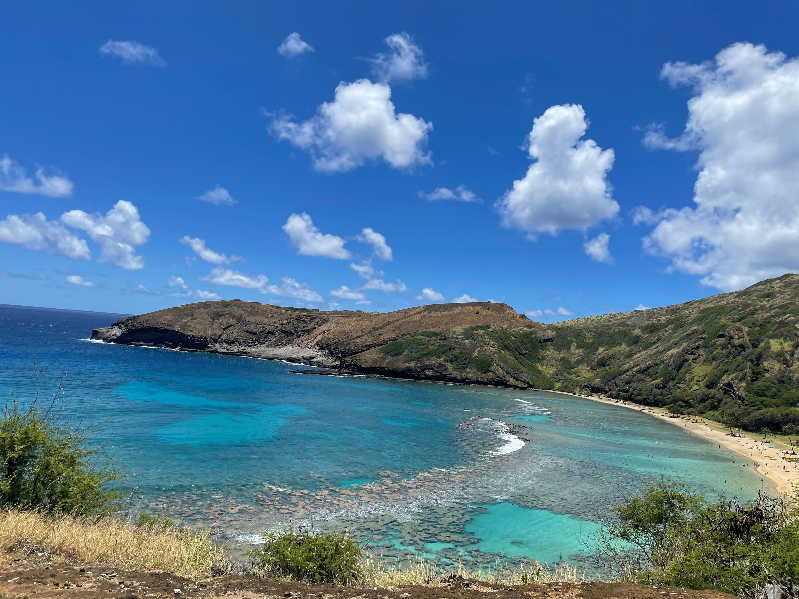 29th FL 2BR/2BA • Ocean & Diamond Head View - Image 62