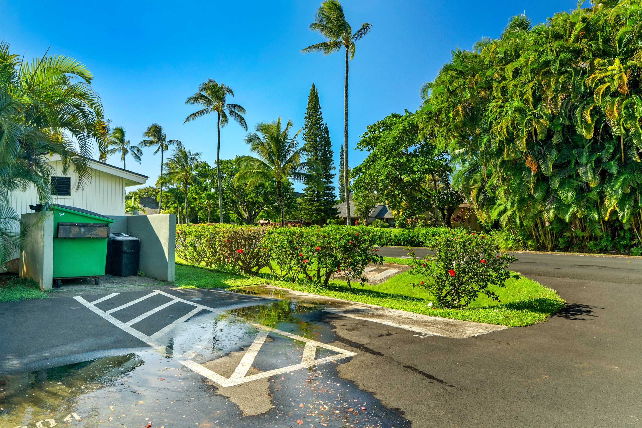 Ideal Island Gem W/ Lovely Lanai, Fast WiFi, Beach - Photo 10