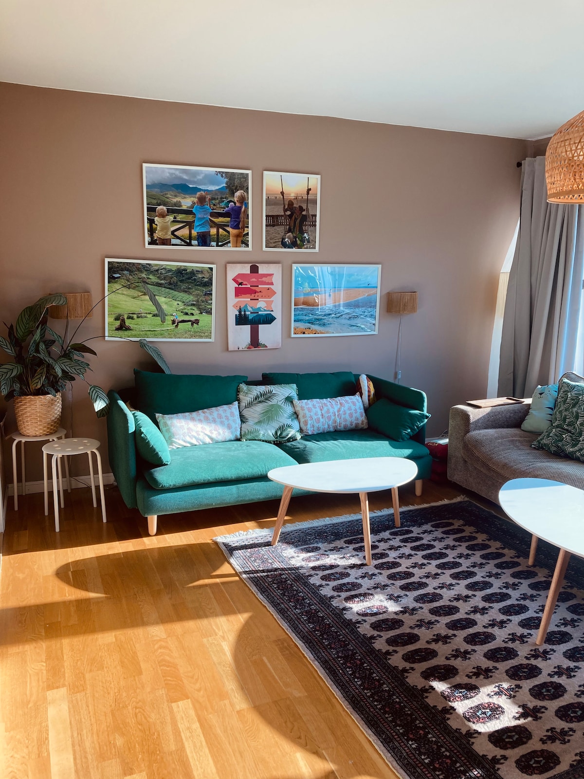 A bright living room is presented with a green sofa and a gray couch, both adorned with cushions. Two small coffee tables are positioned on a decorative rug. Wall art featuring landscapes and activities hangs above the sofa, complemented by a leafy plant in a basket.
