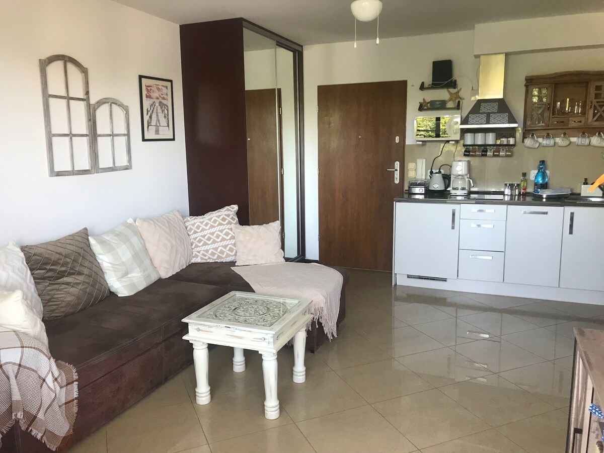 A welcoming living space features a large corner sofa and a coffee table. The kitchen area is equipped with modern appliances and ample storage. Two wooden doors lead to the entrance, while decorative wall art and mirrors enhance the room's character.