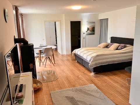 Modern 1-room apartment