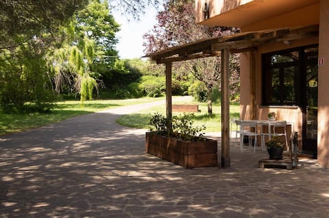 Studio surrounded by greenery "Athos"