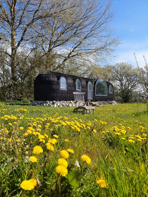 Successful Airbnb property: Beautiful Tiny House w Sea View Lillelodge Sauna in Ærø
