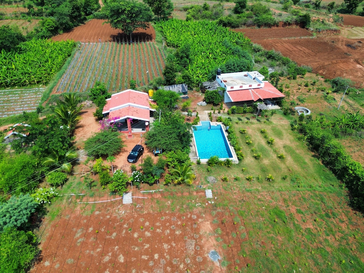 An aerial view of the farm showcases a spacious layout with vibrant green fields and a clear blue swimming pool. Two buildings are visible, surrounded by well-maintained gardens. The landscape features various crops and pathways, set against a backdrop of gently rolling terrain.