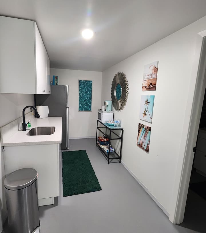 Modern/stylish/central/walkable/oasis/cruises - Galveston