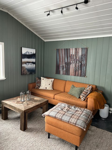 Popular Airbnb listing: Fløgostølen in Hemsedal