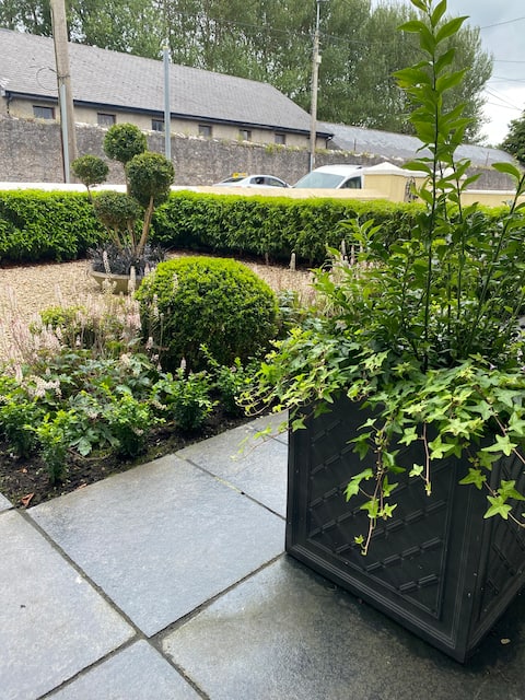 House in Tralee