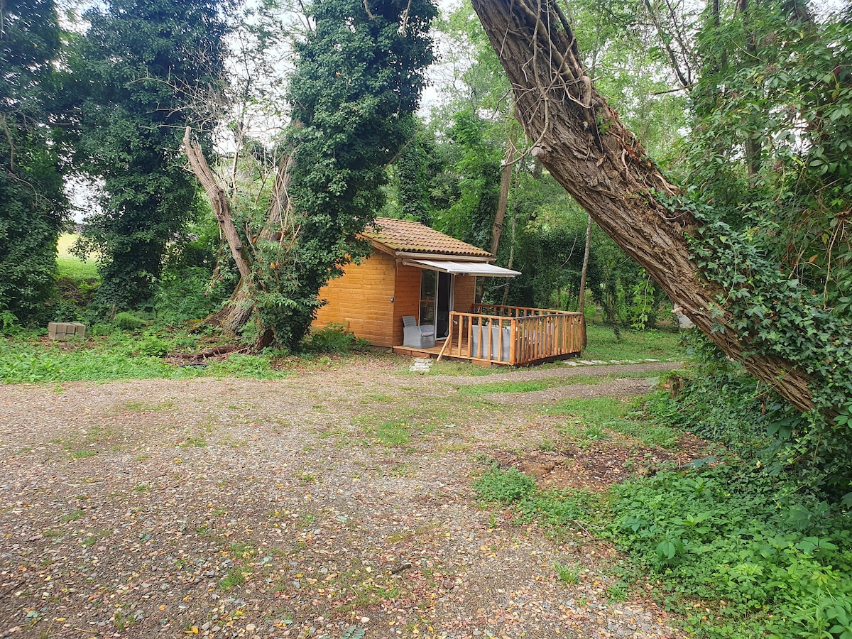 A wooden chalet is situated amidst lush greenery, surrounded by trees. A gravel path leads to the entrance, which features a wooden terrace. The structure incorporates natural elements with a soft earthy tone, blending harmoniously into the wooded environment.