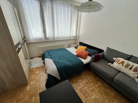 Successful Airbnb property: Geneva center in Saint Jean Et Charmilles