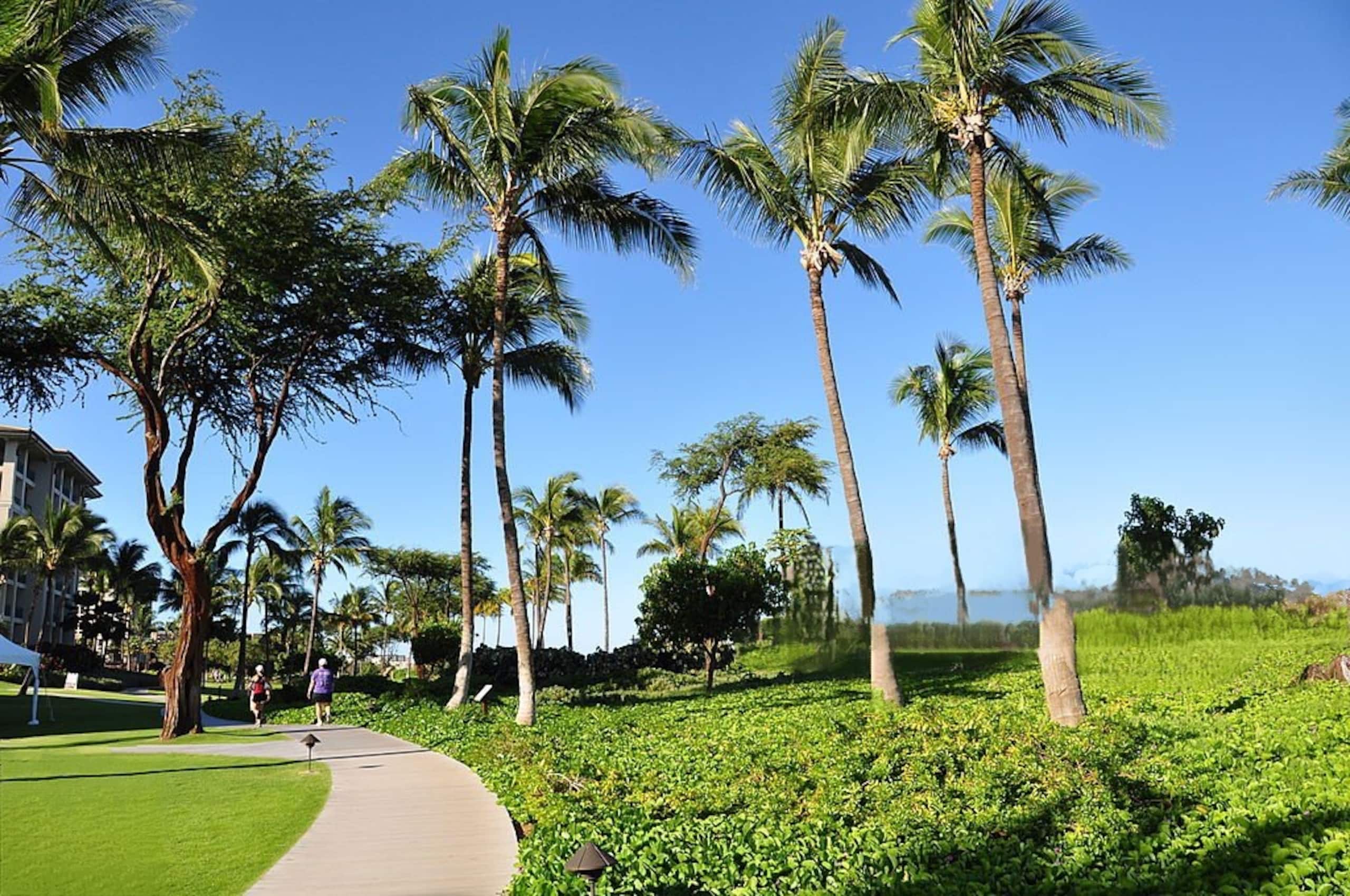 Condo in Lahaina · ★4.96 · 2 bedrooms · 4 beds · 2 private baths - Image 46