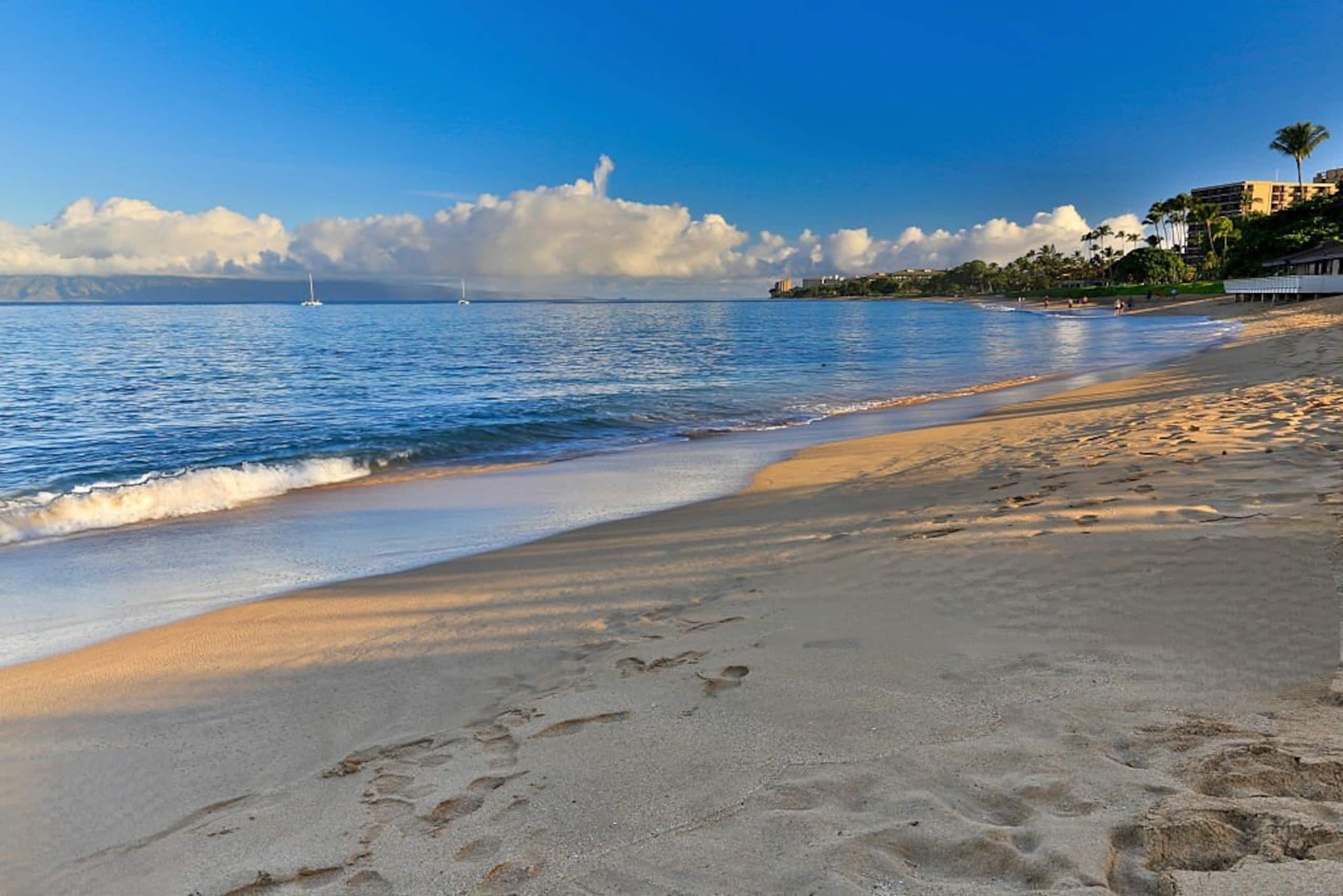 Condo in Lahaina · ★4.96 · 2 bedrooms · 4 beds · 2 private baths - Image 45
