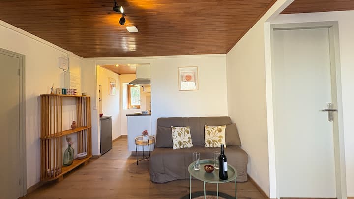 Appartement Cosy Rez De Chaussée - Saillagouse