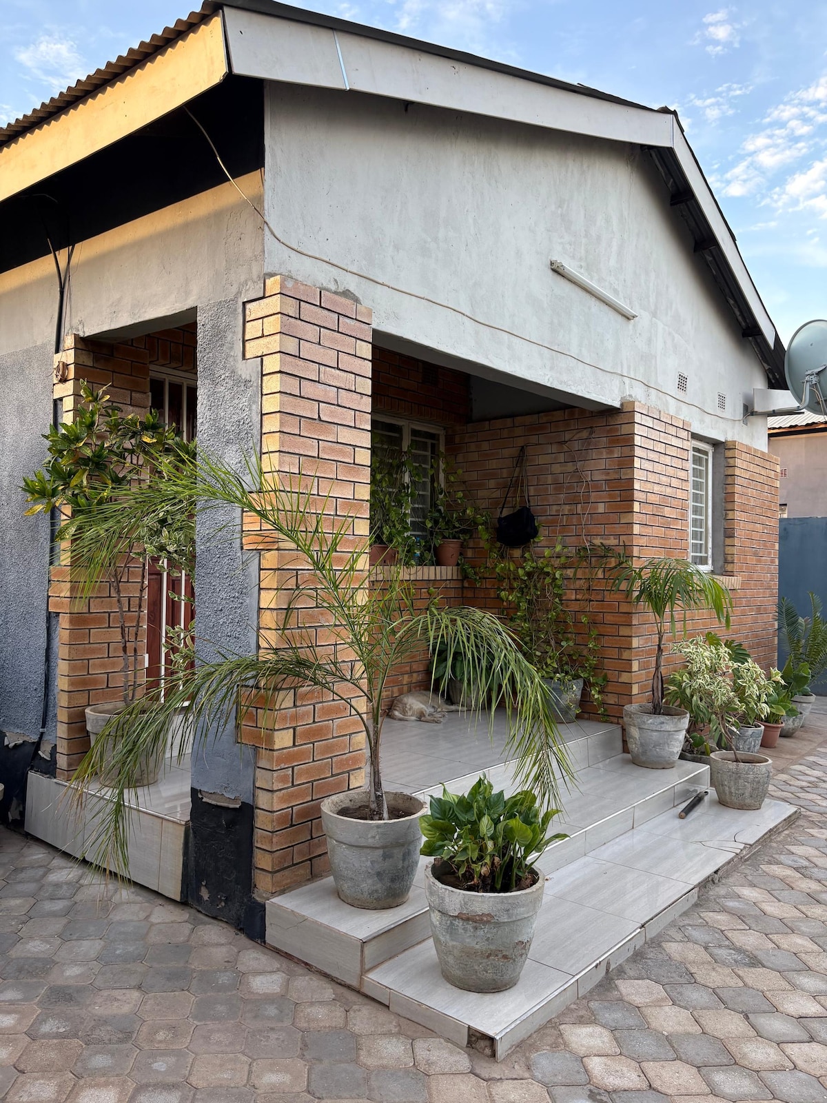 The exterior of a single-story house is showcased, featuring a brick facade and a wide, tiled entryway. Potted plants are arranged along the steps, adding greenery to the space. The structure is complemented by a clear blue sky above.