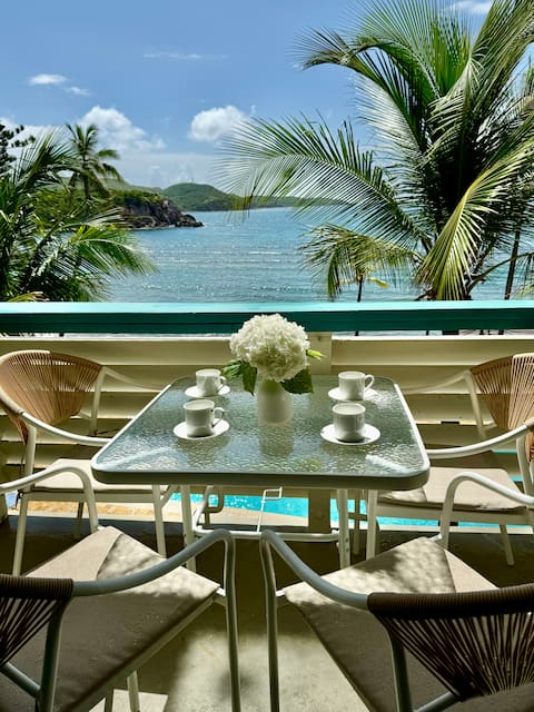 Peaceful Oceanfront Oasis / Pool, Beach, Generator