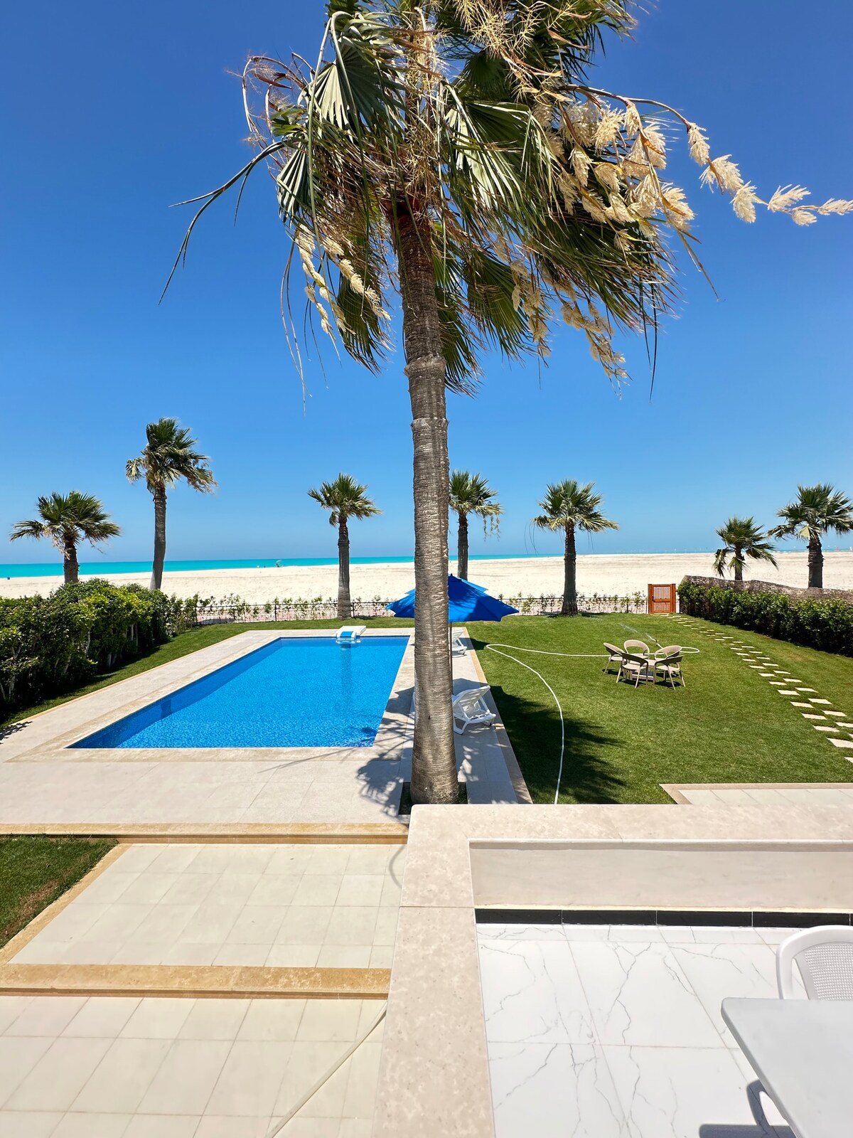 A serene outdoor space features a swimming pool bordered by palm trees, overlooking a sandy beach and the ocean. Comfortable lounge chairs are positioned by the pool, and a grassy area extends towards the horizon, creating a tranquil setting for relaxation.