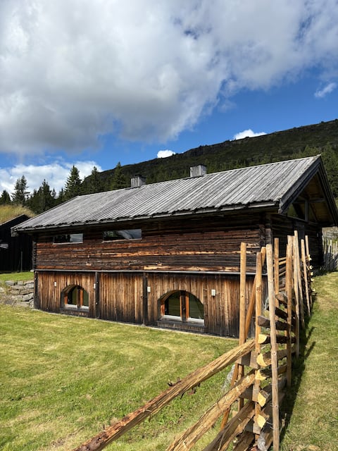 High standard cabin skeikampen