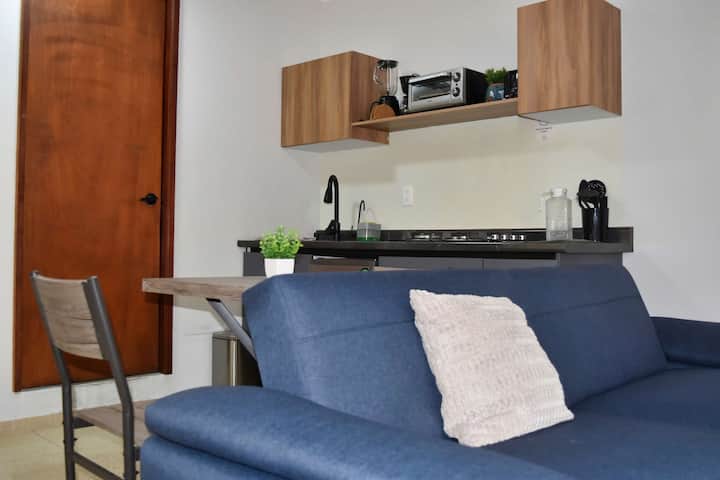 Down Town Cozy Apartment - San Luis Potosí