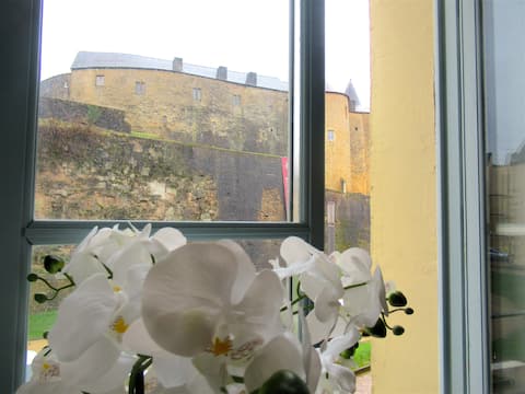 View of the Castle • Historic Center