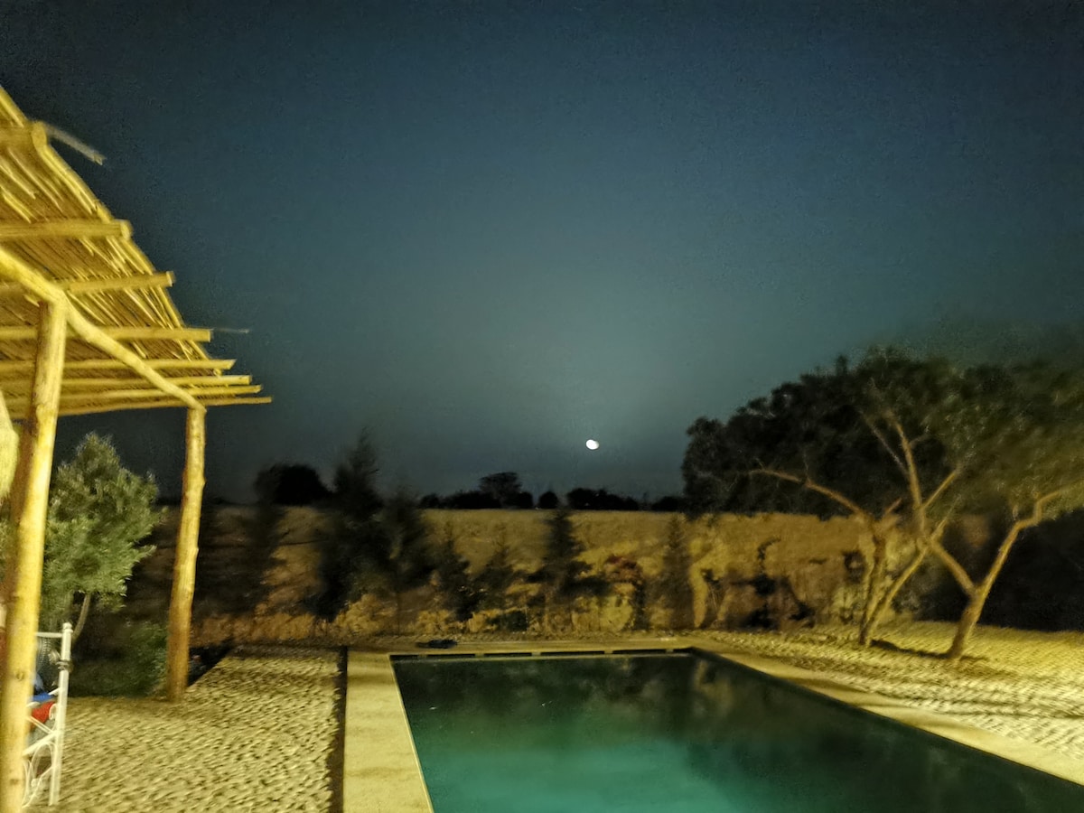 A nighttime view of a swimming pool is highlighted under a clear sky, with a full moon casting a soft glow. Surrounding trees and a stone wall create a serene backdrop, while a bamboo structure adds a rustic touch to the setting.