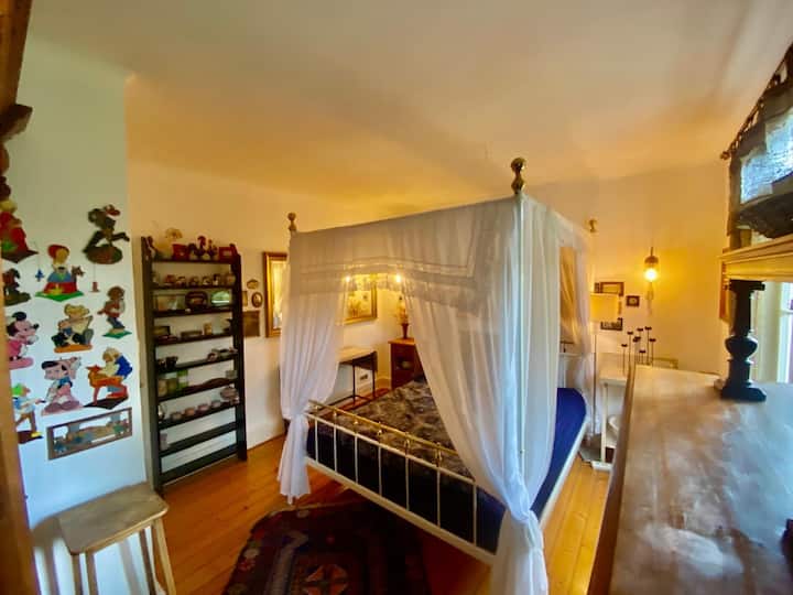 Ruhiges Zimmer In Bester Lage. - Bonn