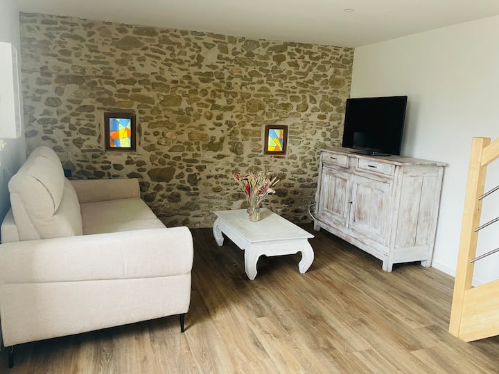Charmante Maison à Castres Avec Jardin & Clim - Tarn