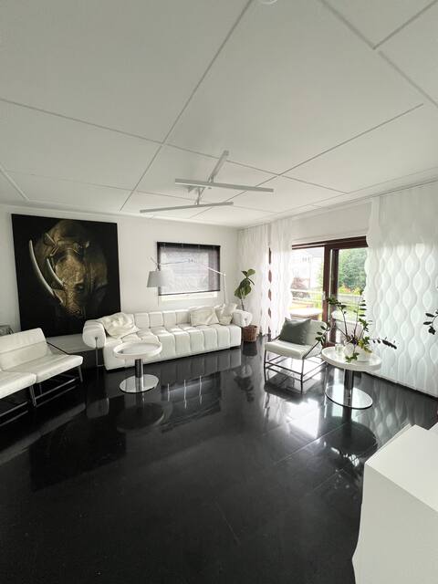 Bright apartment with a balkony and garden
