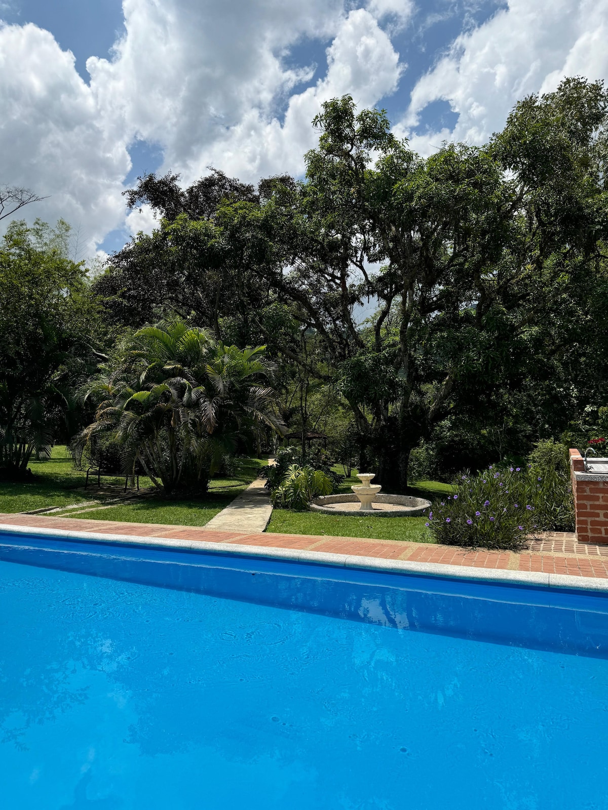 A clear blue swimming pool is visible in the foreground, reflecting the sky. In the background, lush greenery, including tall trees and tropical plants, frames a neatly maintained pathway. Decorative features like a fountain can be seen amidst the vibrant flora.